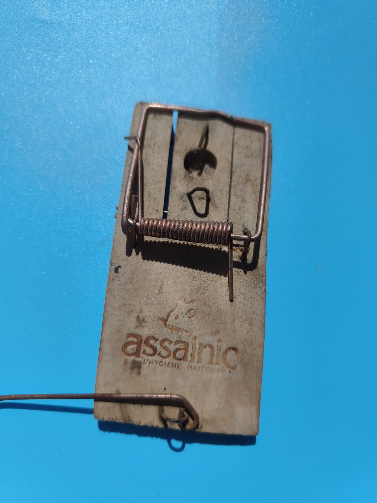 Ancien piège à souris bois Assainic cabinet de curiosité déco vintage