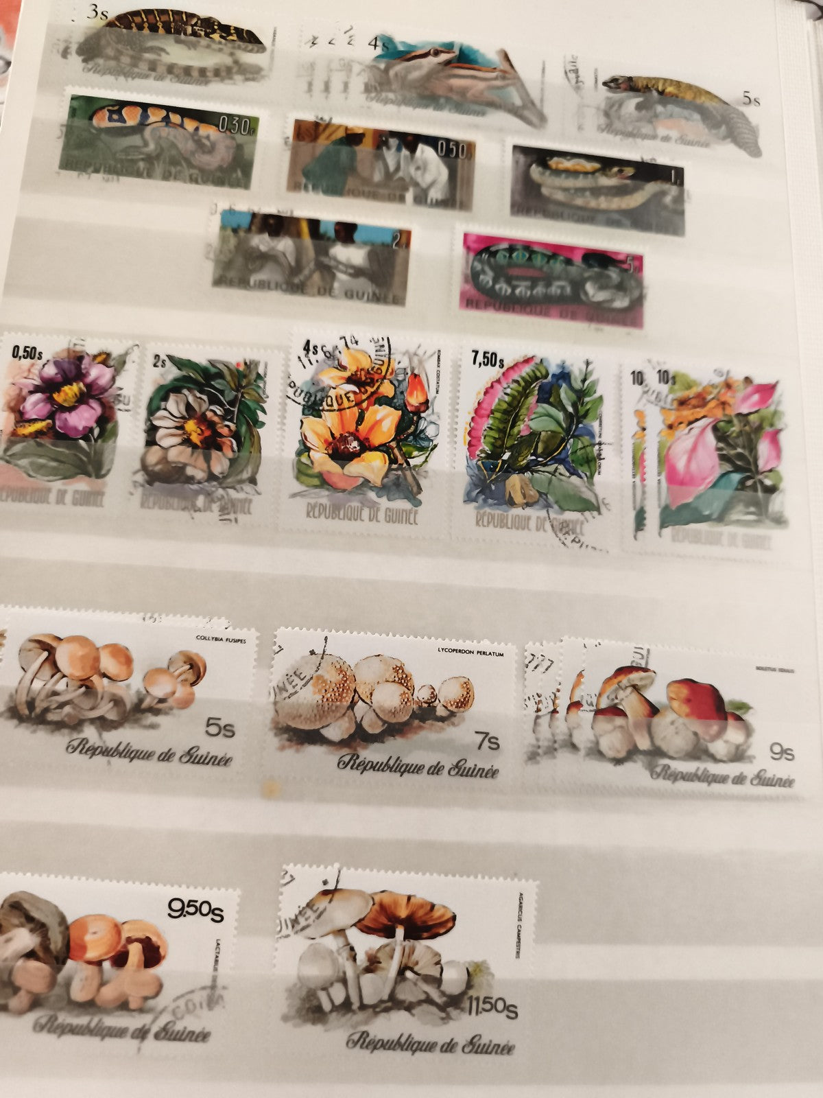 Timbres anciens République de Guinée animaux fleurs champignons lot oblitérés