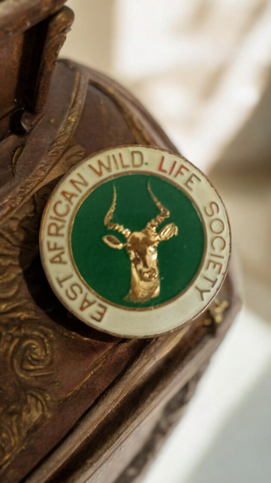 Insigne vintage East African Wild Life Society ? broche émaillée rétro animalier