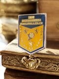 Pin's FC Trélissac Maurilloux vintage football blason Aquitaine Dordogne