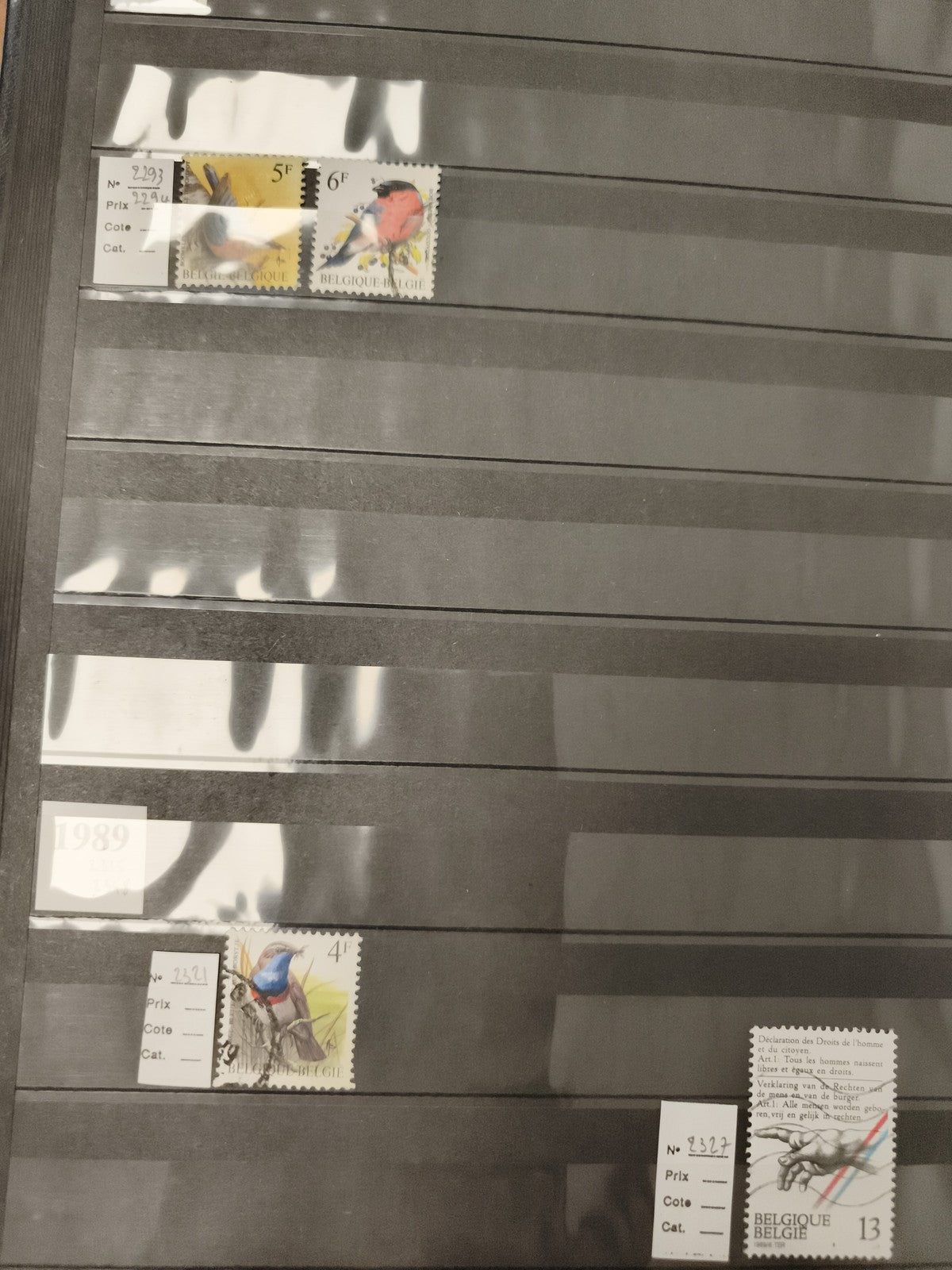 Timbres Belgique oiseaux et droits de l’homme, lot 4, philatélie thématique