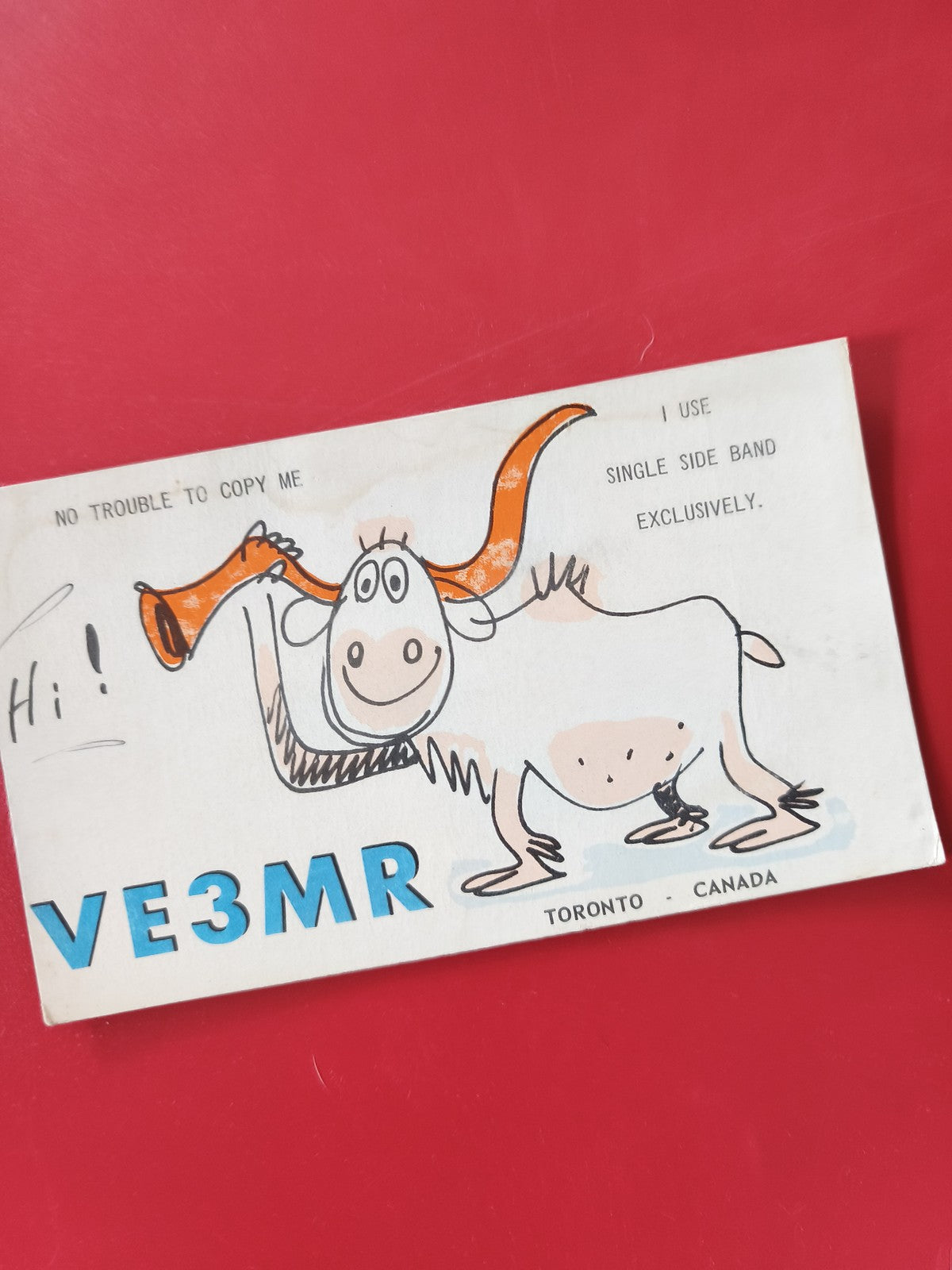 Carte radio QSL VE3MR Toronto Canada dessin humoristique b?uf cornes orange