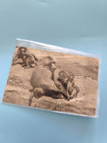 Carte postale vintage Parc zoologique Bois de Vincennes Paris rétro collection
