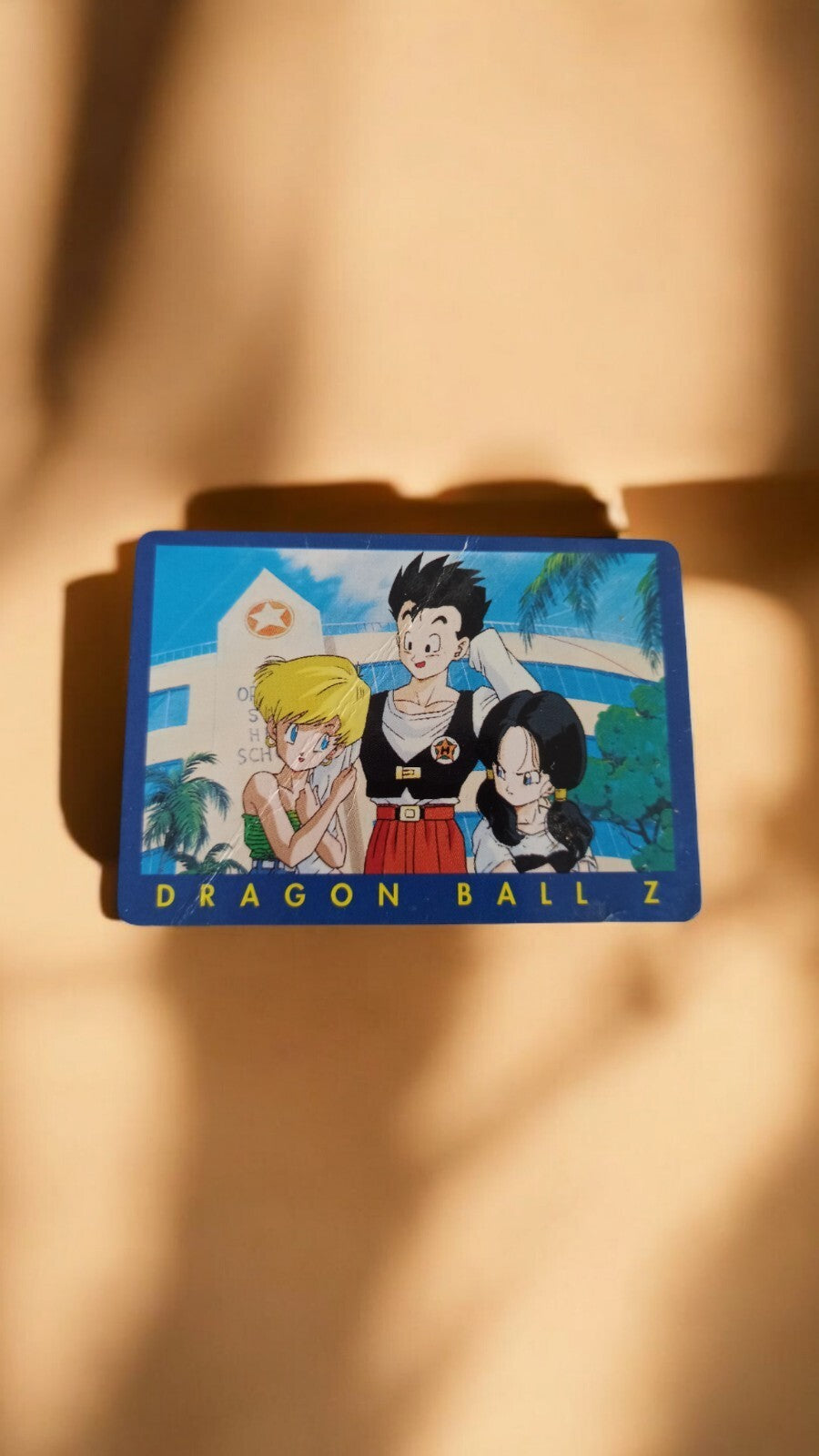 Carte Dragon Ball Z vintage rare, Gohan Videl lycée, anime DBZ années 90