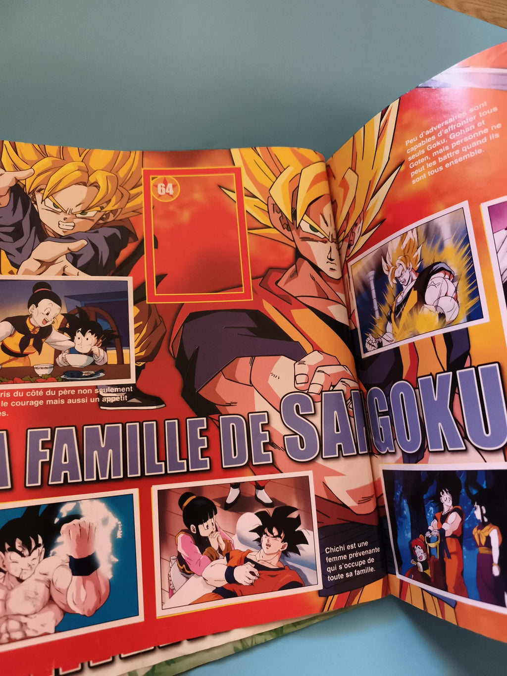 Album Panini Dragon Ball Z incomplet Goku Shenron sticker book