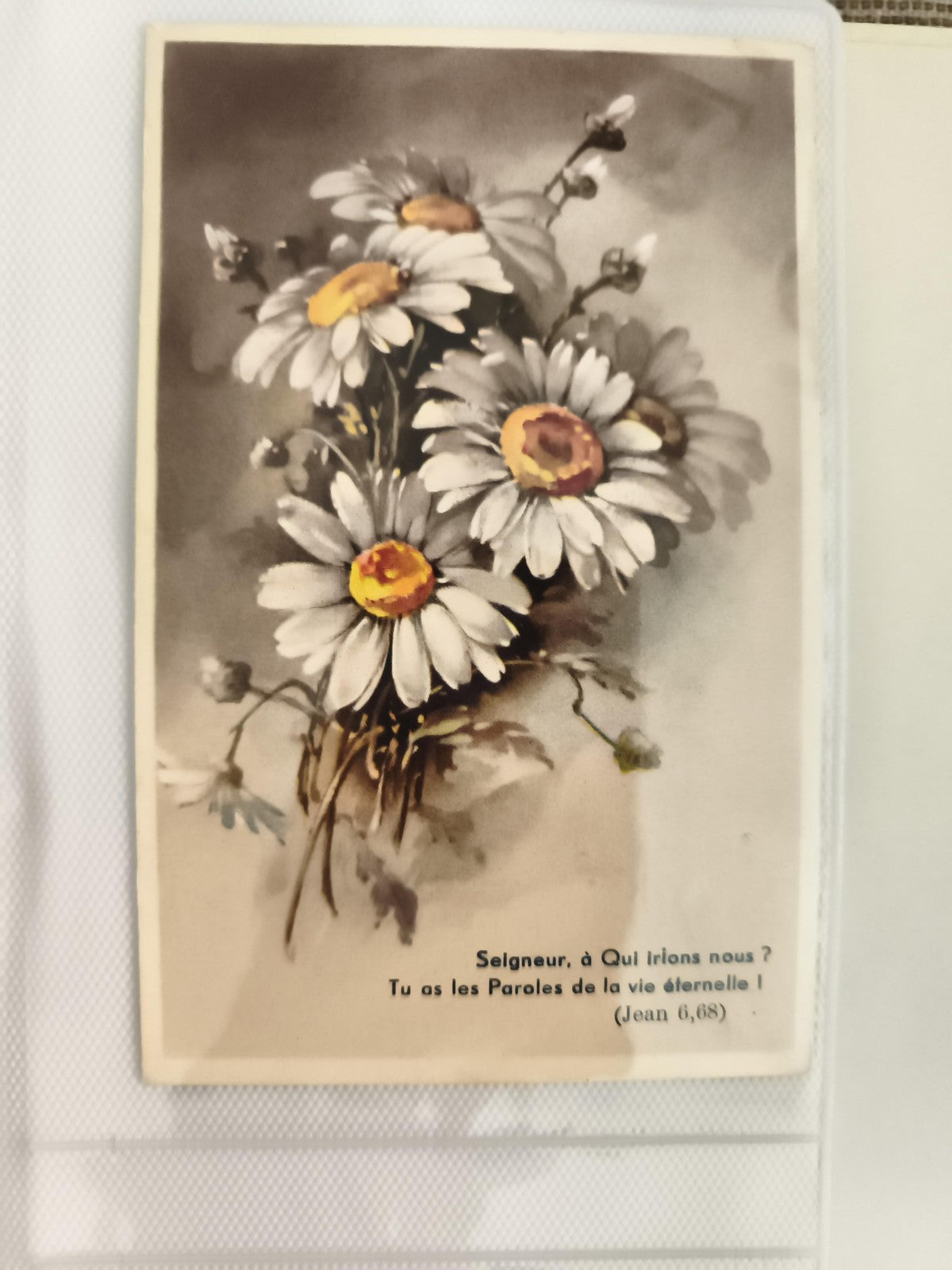 Carte postale ancienne marguerites verset biblique Jean 6:68 fleurs vintage CPA