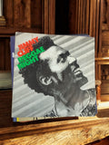 Vinyle 45 tours Jimmy Cliff Reggae Night ancien vintage pochette illustrée rétro