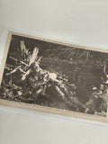 Carte postale ancienne Bois des Caures 1916 Guerre 14-18 photo soldat WW1