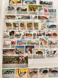 Timbres animaliers oblitérés thématique faune monde lot philatélie animaux