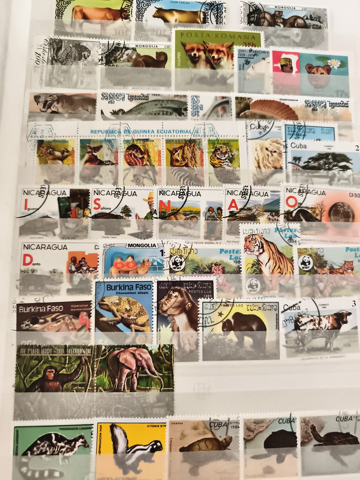 Timbres animaliers oblitérés thématique faune monde lot philatélie animaux