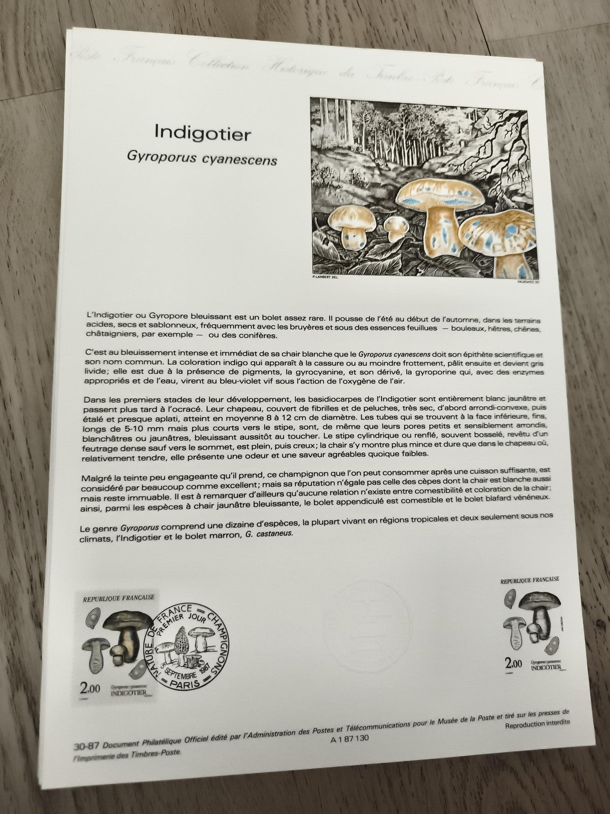 Carte philatélique Indigotier Gyroporus cyanescens timbres 2.00 F France champig