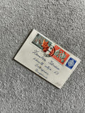 Lettre affranchie Roumanie timbres animaux Renard chevaux philatélie poste