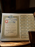 Action ancienne Société de Charbonnages de Pacota La Haye 1920s certificat bours