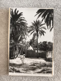 CPA paysage saharien oasis marabout palmiers noir et blanc photo ancienne