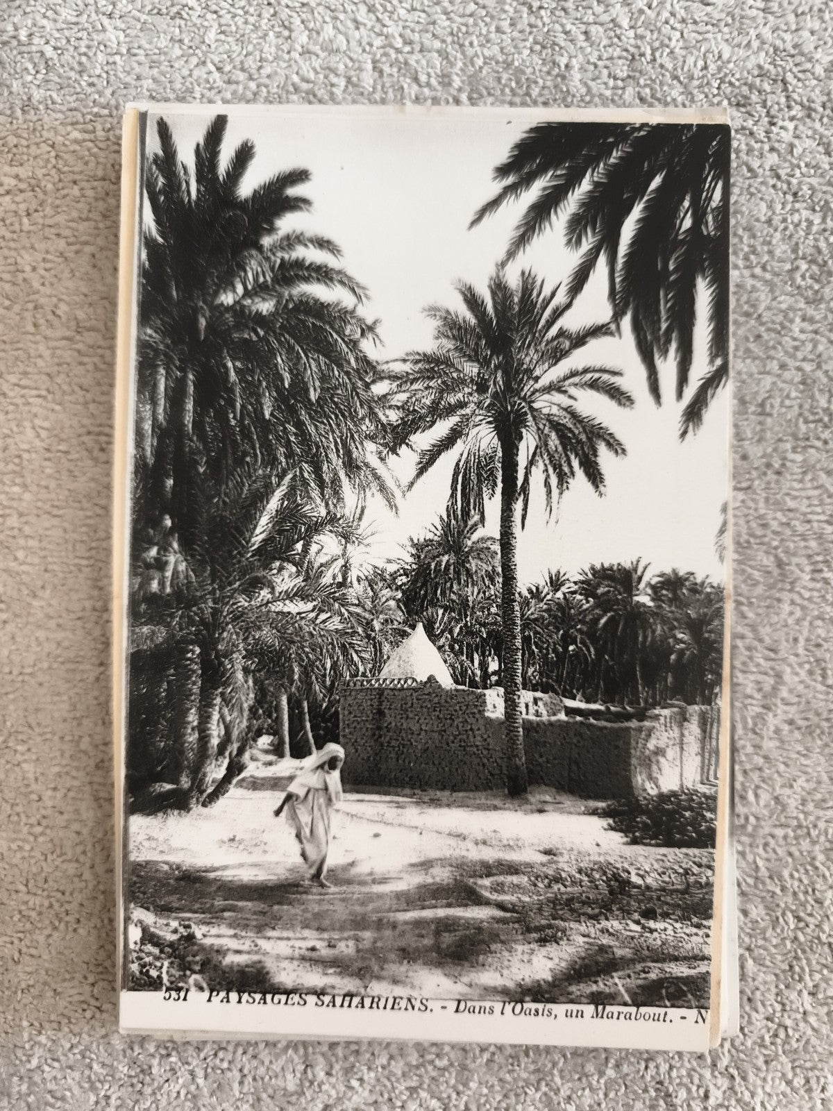 CPA paysage saharien oasis marabout palmiers noir et blanc photo ancienne