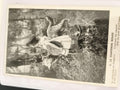Carte postale ancienne Le Chaperon Rouge photo noir et blanc conte enfant CPA