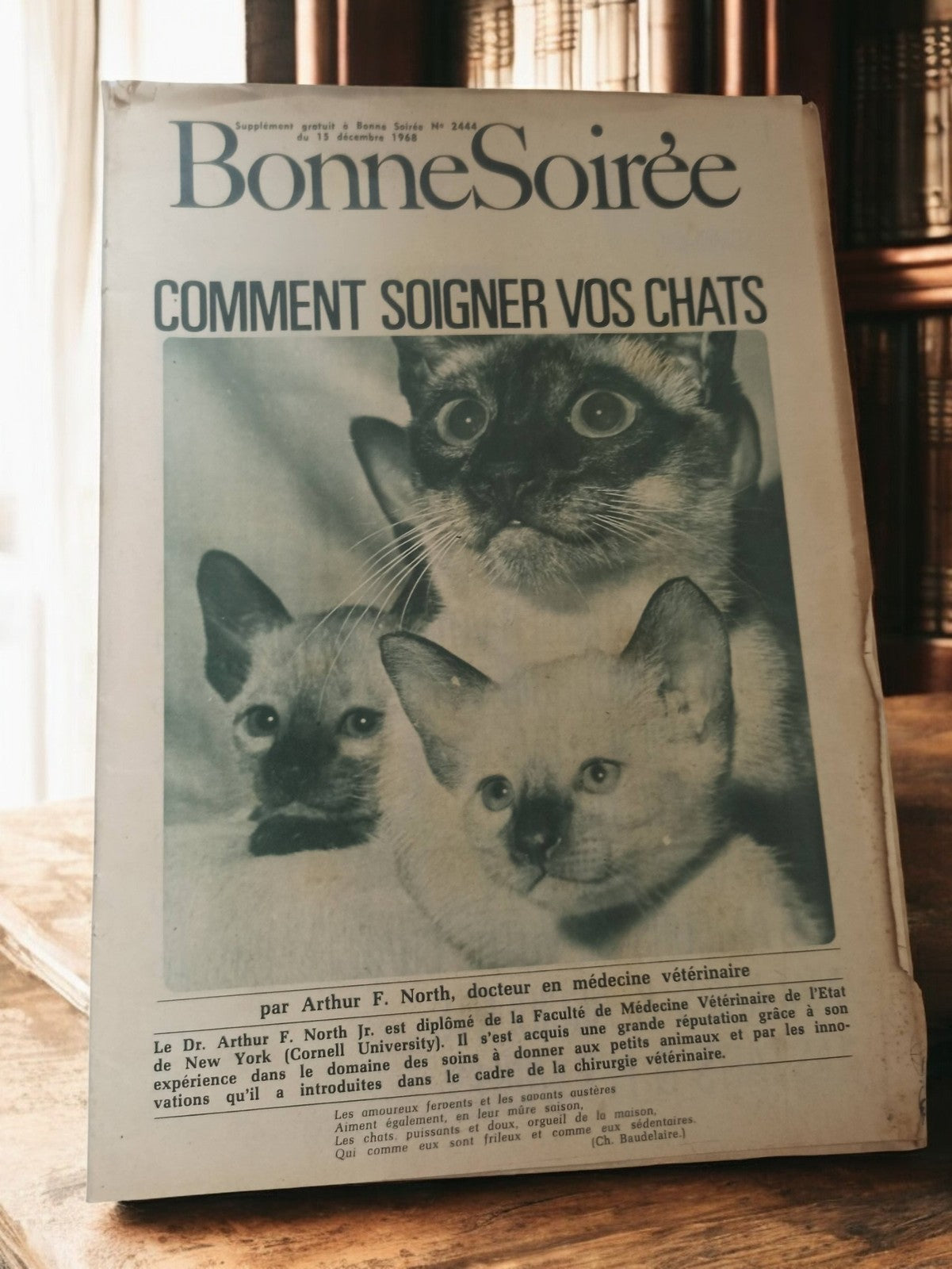 Ancien supplément presse Bonne Soirée 1968 chats vintage rétro magazine