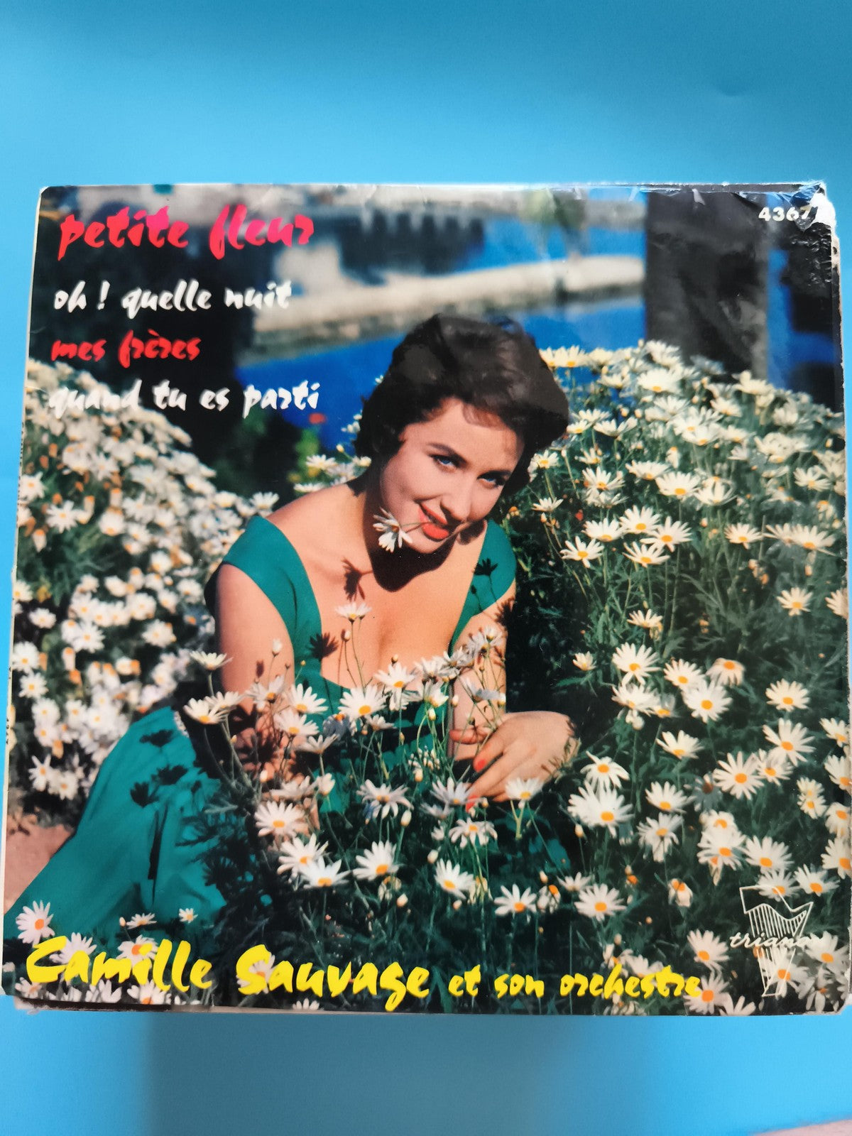 Vinyle 45 tours Camille Sauvage pochette couleur Petite Fleur