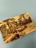 Ancienne carte postale animée Gabès oasis palmiers scène vie Ref 2
