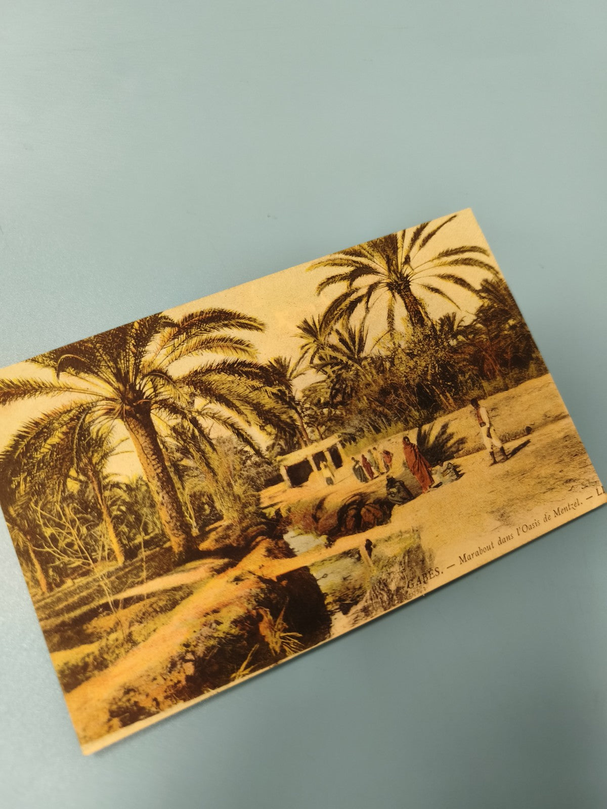 Ancienne carte postale animée Gabès oasis palmiers scène vie Ref 2