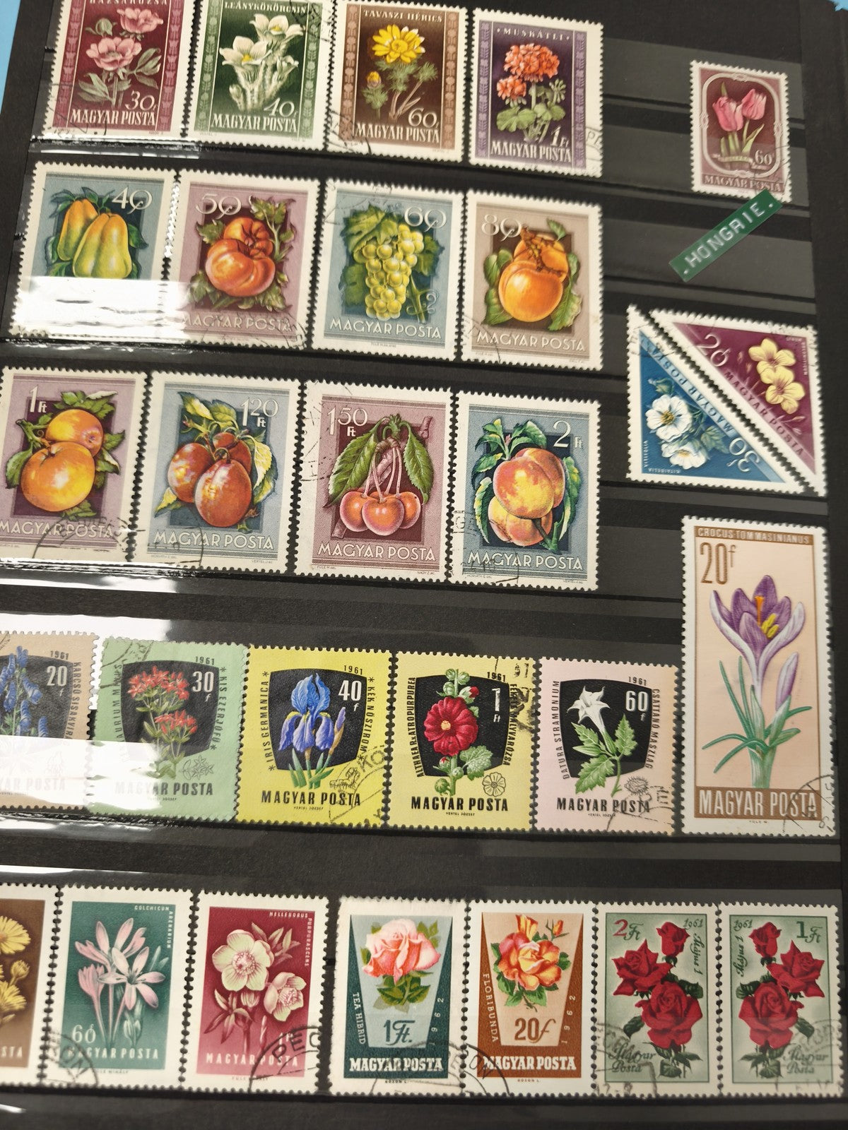 Lot ancien timbres oblitérés Hongrie Magyar Posta fleurs fruits collection