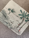 CPA illustrée crocodile rivière palmiers dessin humoristique aquarelle