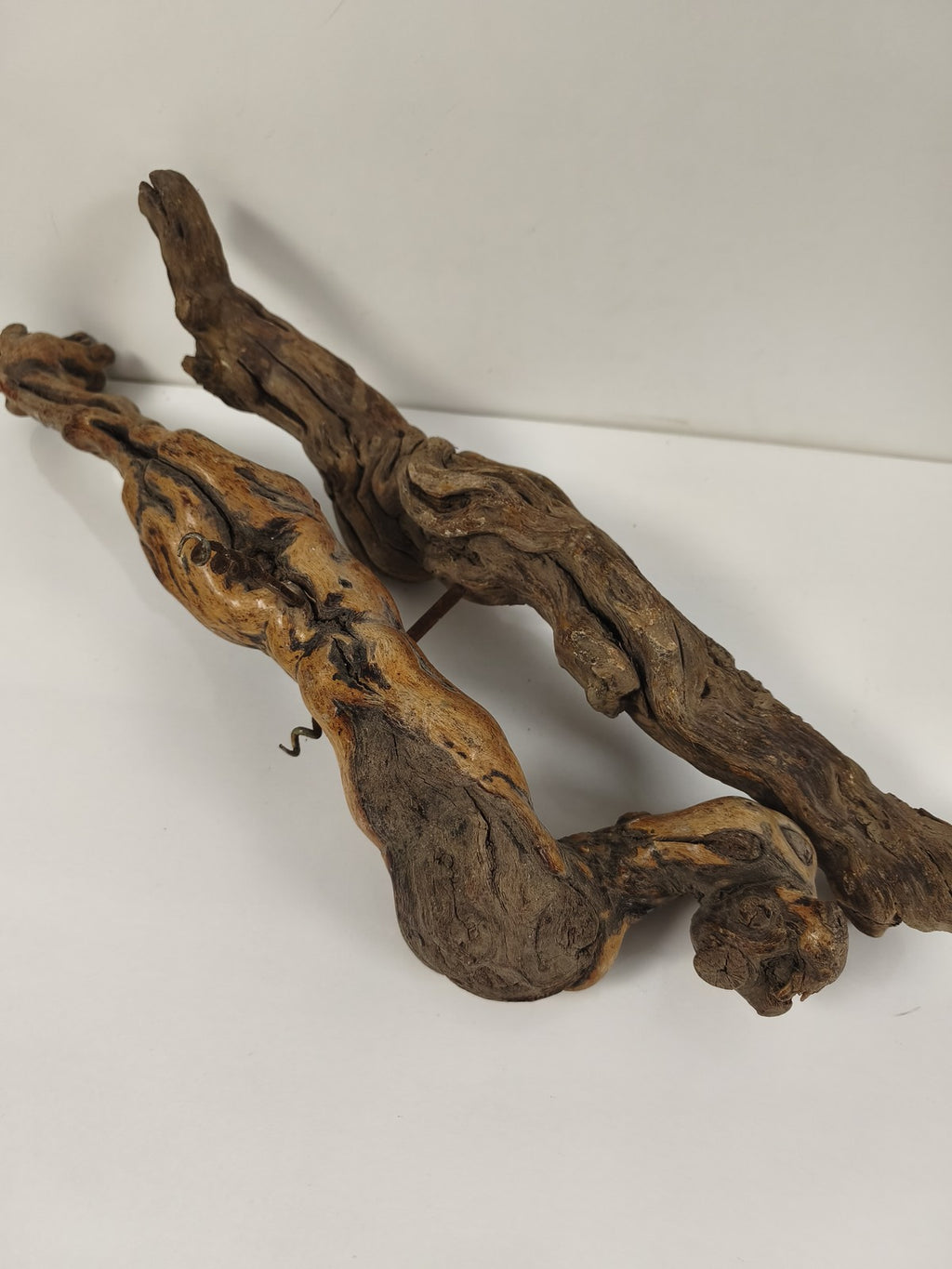 Lot de 2 grands tire-bouchons anciens en cep de vigne, vrilles acier