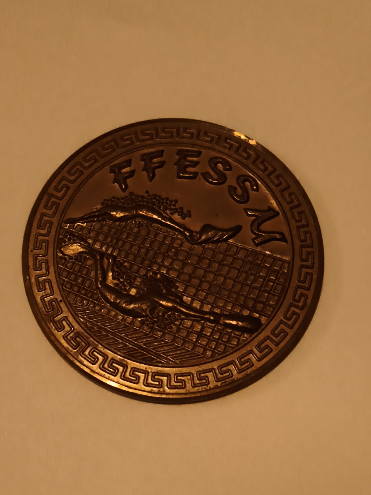 Médaille FFESSM natation subaquatique bronze nageur décoration sport