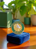 Pin's Laboratoires Anios vintage édition limitée, émaillé rond vert or, publicit