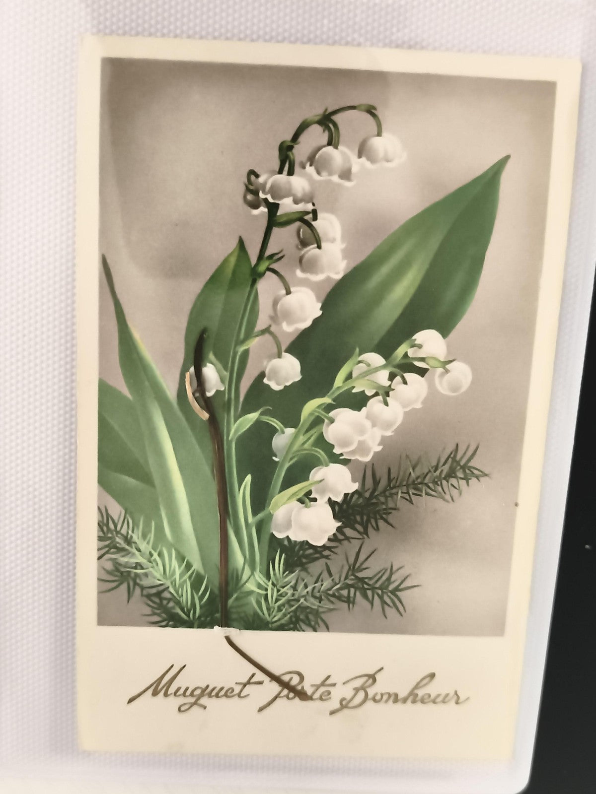 Carte postale ancienne muguet Porte Bonheur illustration fleurs vintage CPA