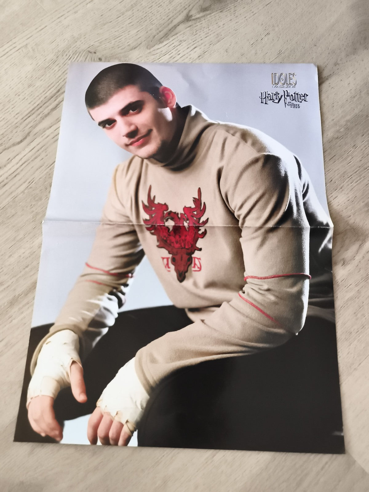 Poster Harry Potter Idoles magazine Phoenix beige photo personnage