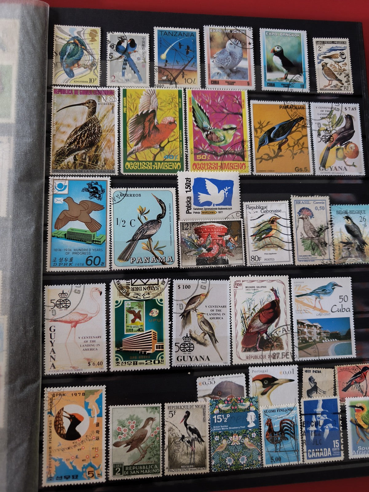 Classeur ancien de timbres oiseaux du monde, collection thématique, multicolore