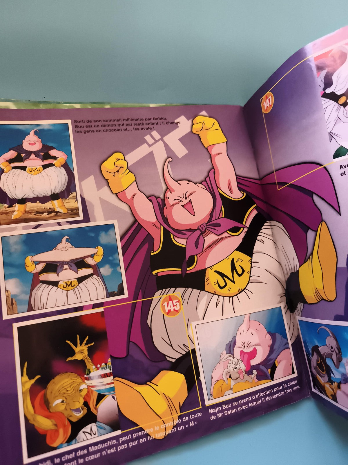 Album Panini Dragon Ball Z incomplet Goku Shenron sticker book