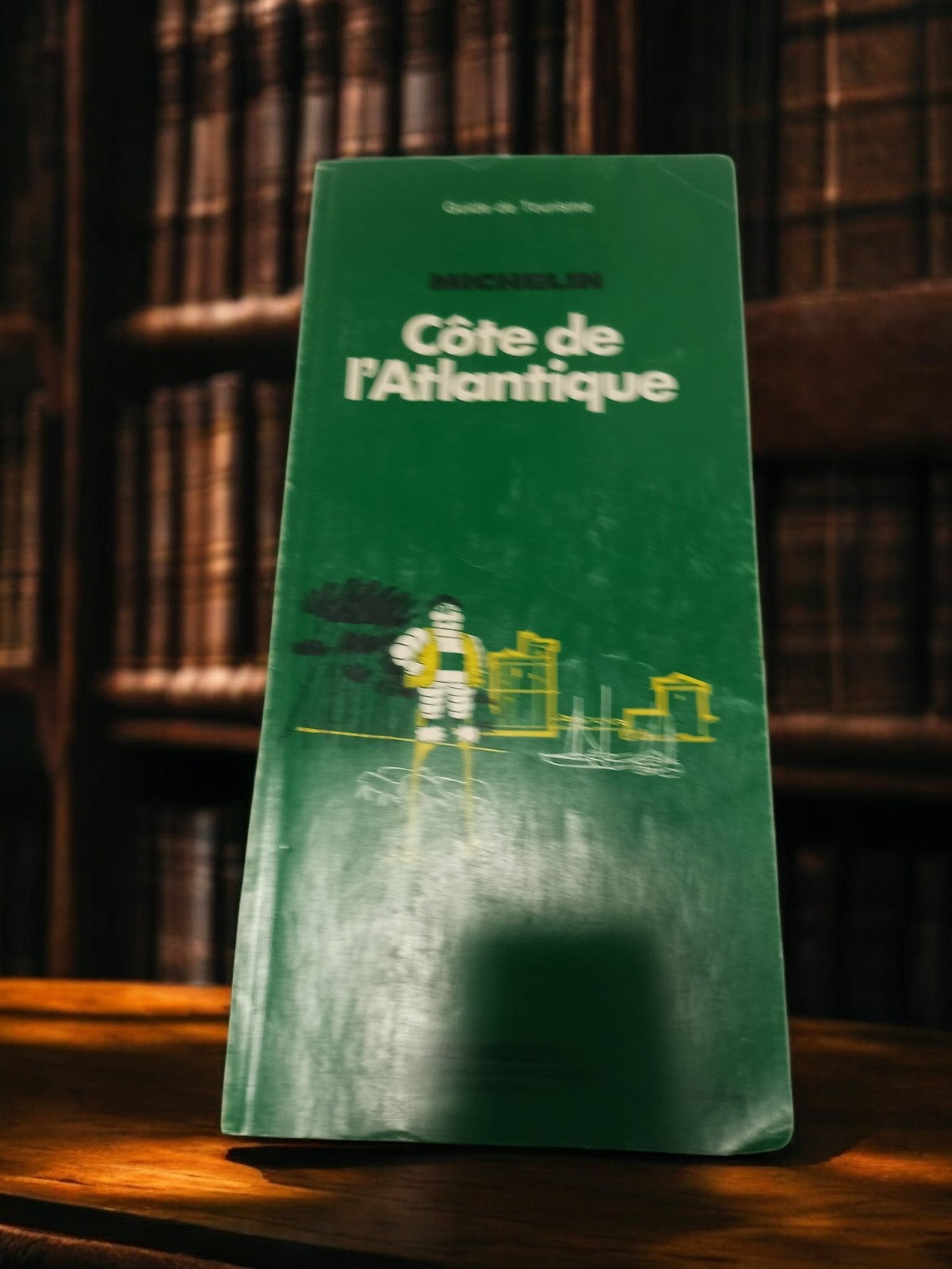 Carte routière ancienne Michelin Côte Atlantique vintage rétro vert