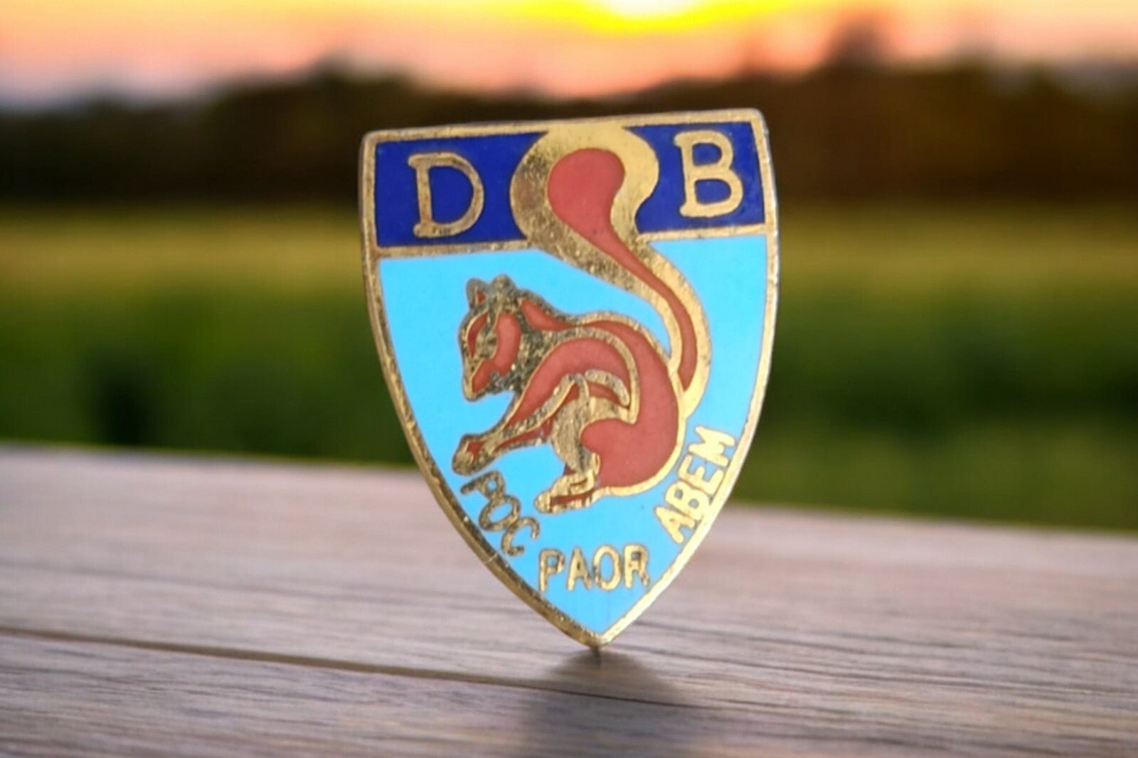 Pin's vintage écureuil DB POC PAOR ABEM émaillé ancien rare insigne badge