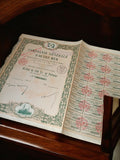 Action ancienne Compagnie Générale d’Outre-Mer 1924 avec coupons vintage bourse