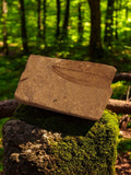 Fossile feuille fossilisée petite taille stratification naturelle