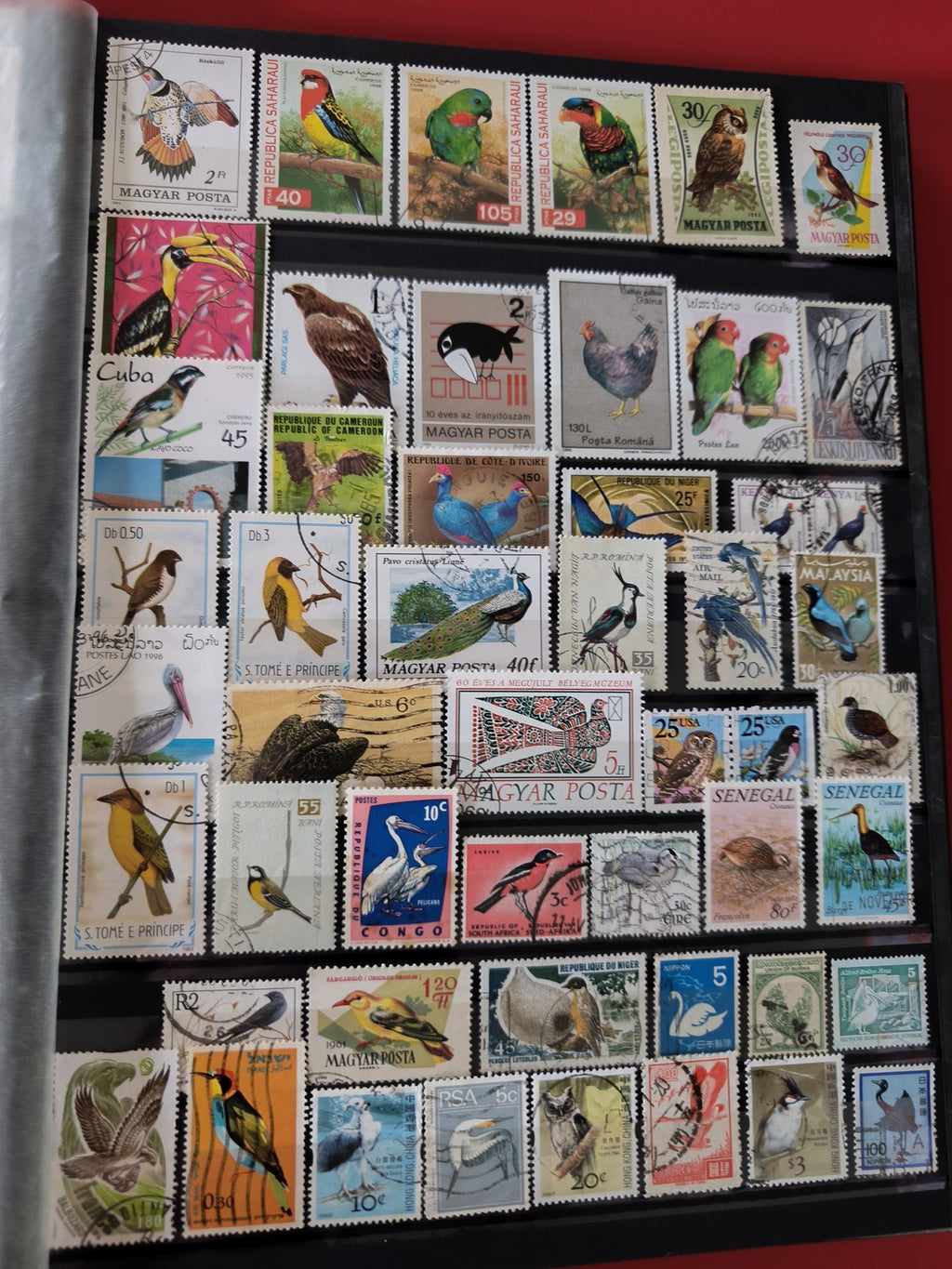 Classeur ancien de timbres oiseaux du monde, collection thématique, multicolore