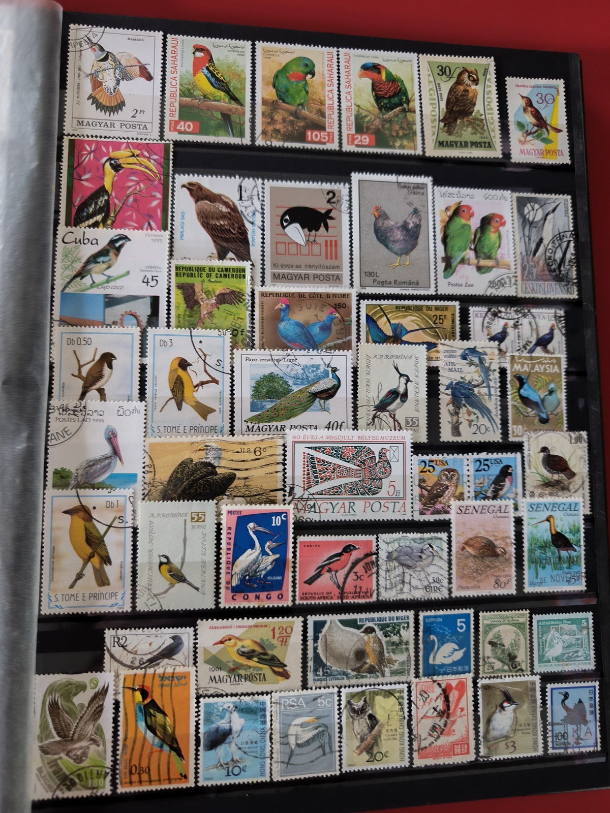 Classeur ancien de timbres oiseaux du monde, collection thématique, multicolore
