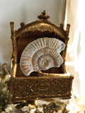 Ammonite fossile Jurassique spirale beige marron – Pièce décorative unique