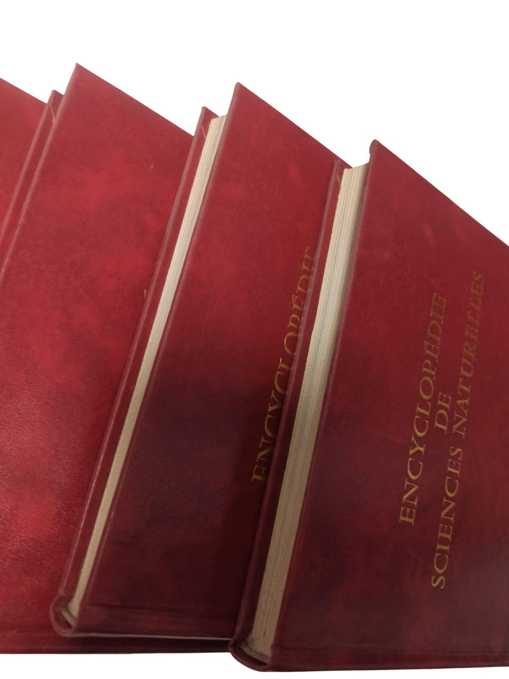 Lot 8 livres Encyclopédie de Sciences Naturelles ancien vintage reliure rouge ré