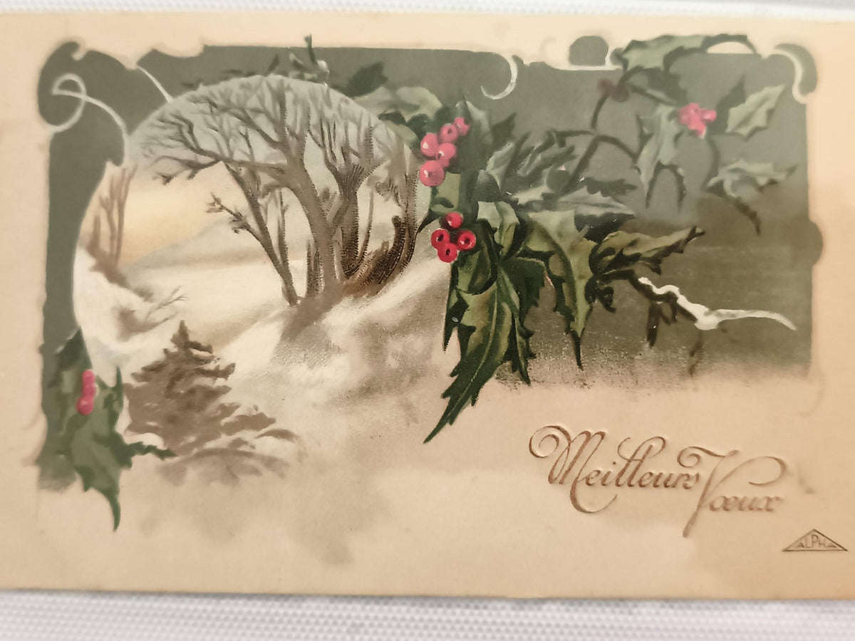 Carte postale ancienne Meilleurs Vœux hiver houx relief Alpha CPA vintage