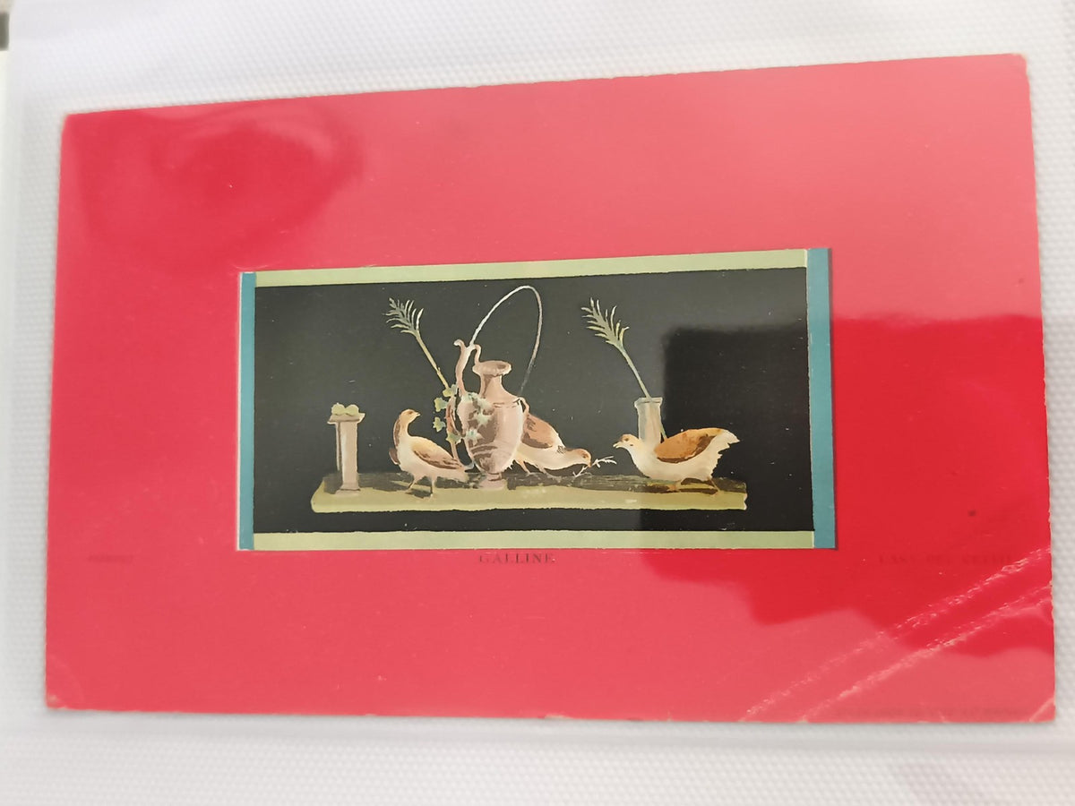 Carte postale ancienne CPA décor nature morte gallinacés fond rouge