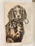 Carte postale ancienne chien portrait Setter illustration vintage CPA