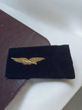 Écusson ancien Armée de l'air France insigne brodé ailes dorées vintage