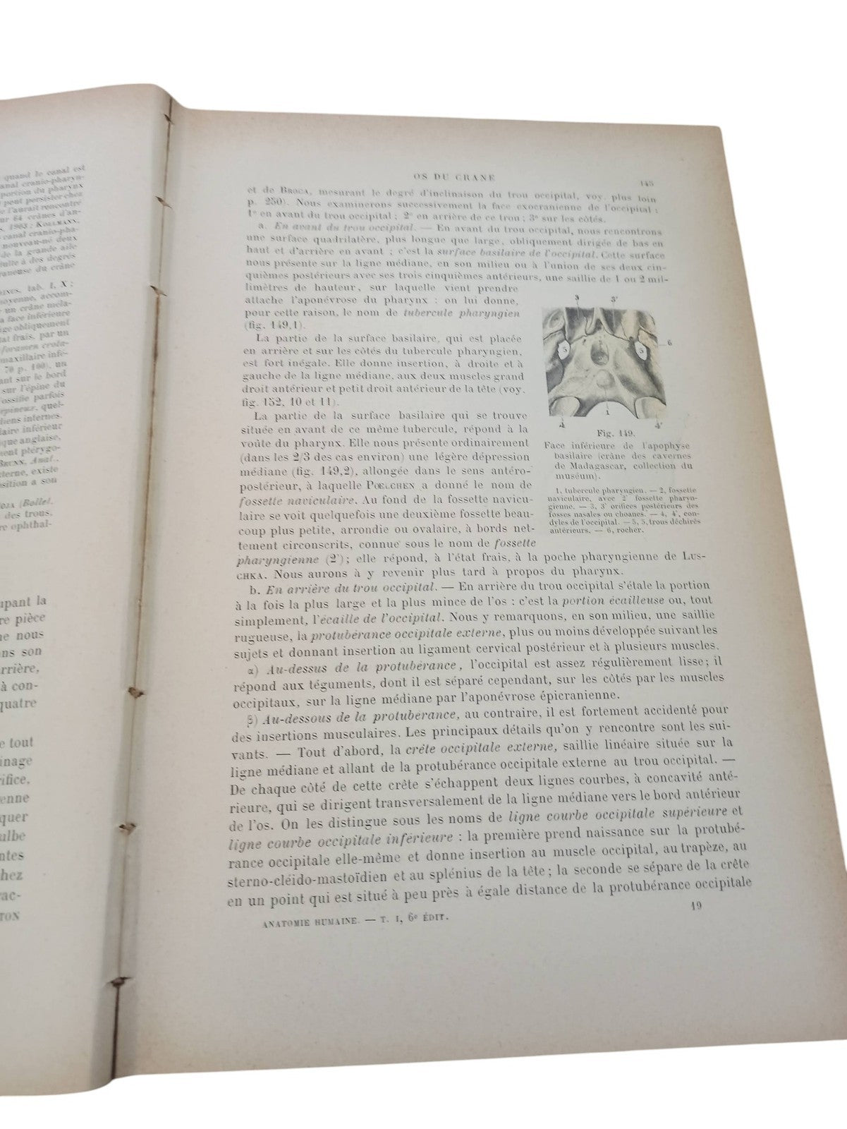 Livre ancien d'anatomie humaine 1911 reliure marbrée vintage illustrations rare