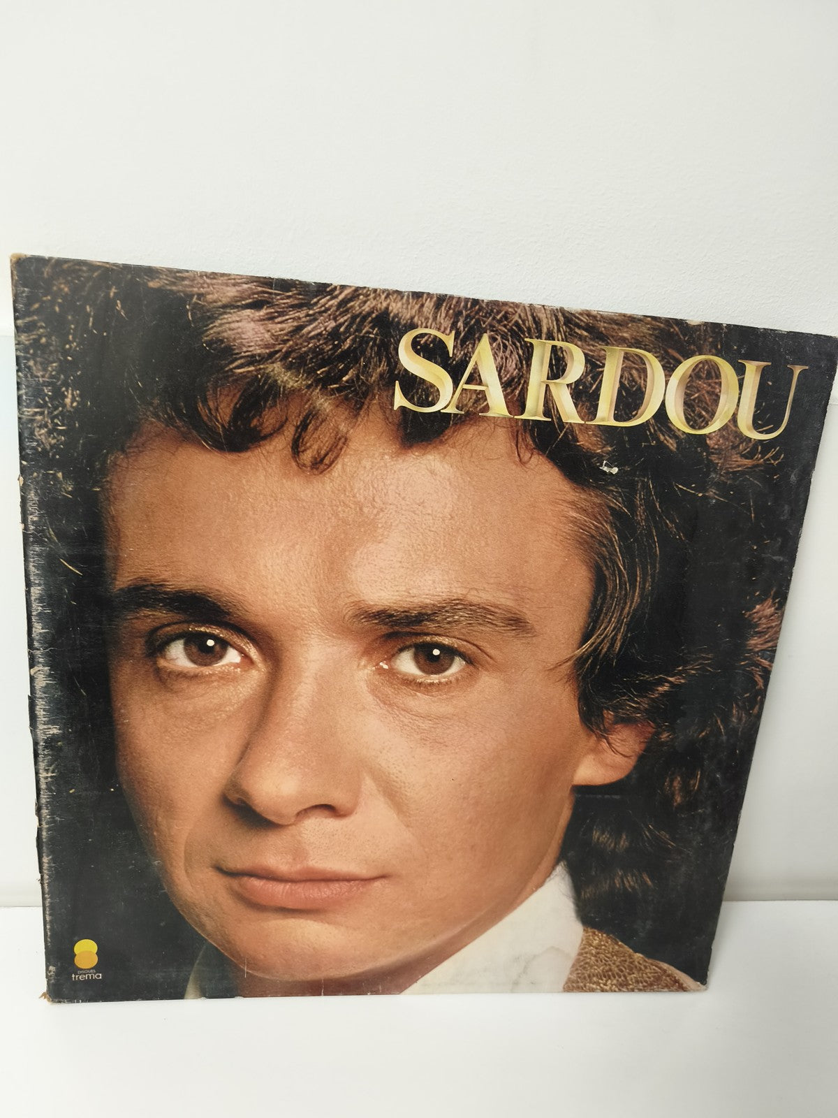 Disque vinyle ancien 33 tours Michel Sardou rétro collection musique française
