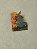 Vintage pin's étang de Berre, forme carte, émaillé, sauvegarde, Ref 6