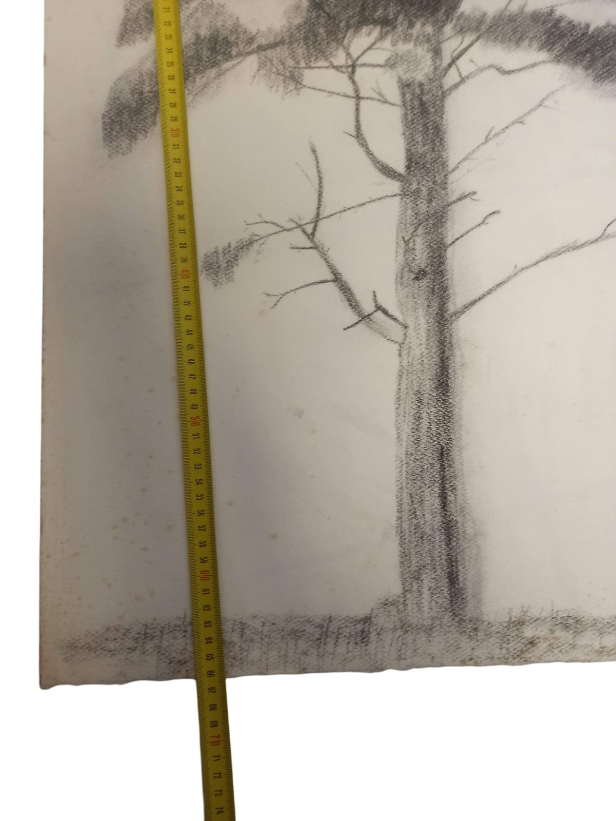 Dessin ancien arbre signé Philippon, art vintage rétro, graphite original