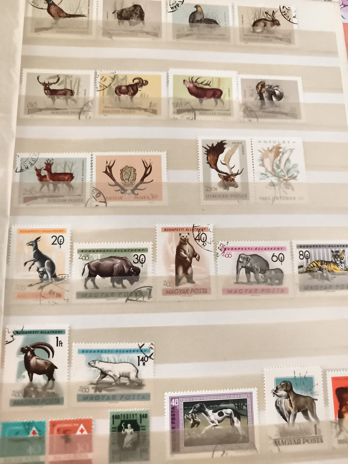 Timbres anciens animaux MAGYAR POSTA Hongrie lot philatélie oblitéres